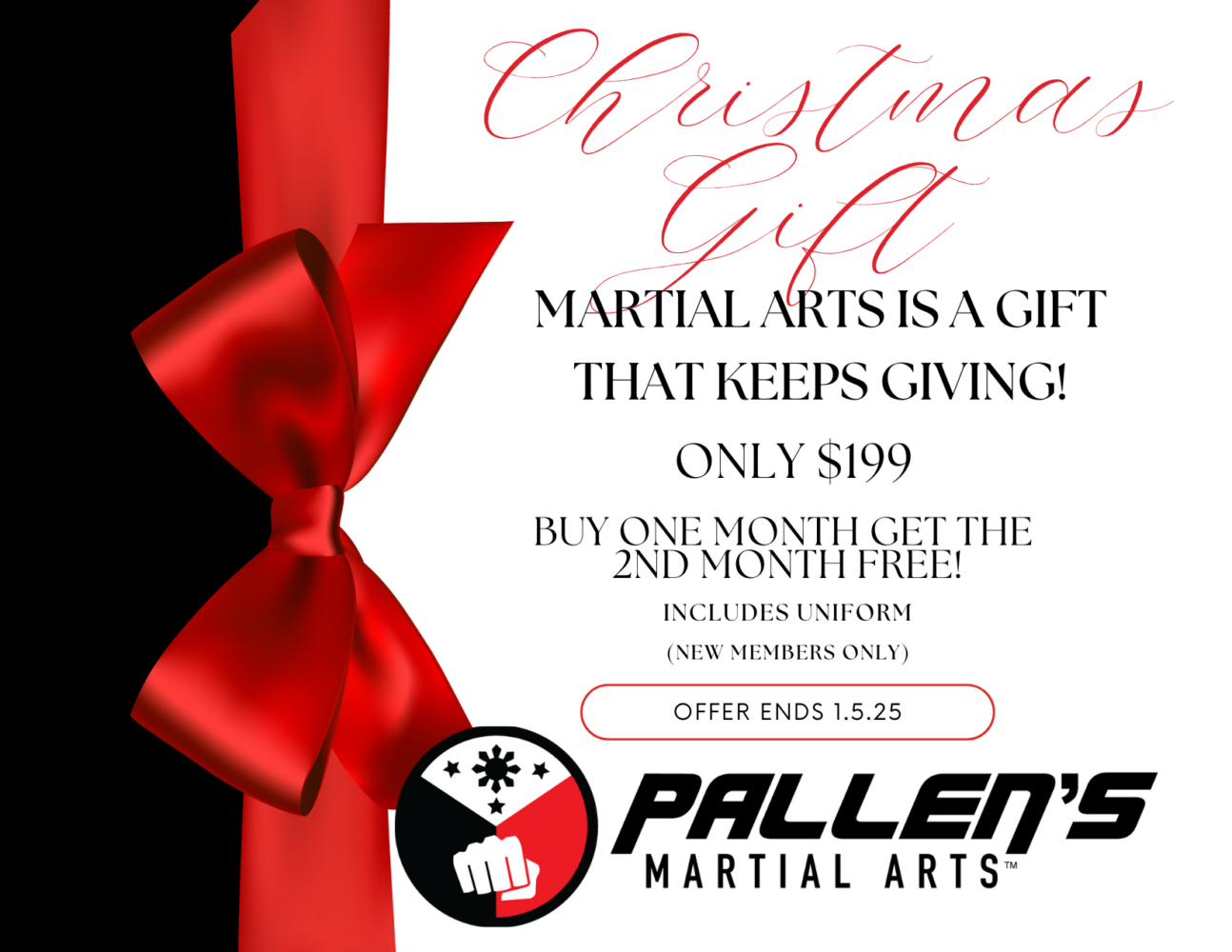 Pallens Martial Arts Tri Valley New Member Christmas Special